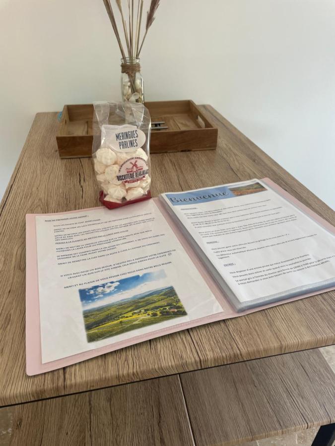 Appartement Bienvenue En Beaujolais à Saint-Jean-dʼArdières Extérieur photo
